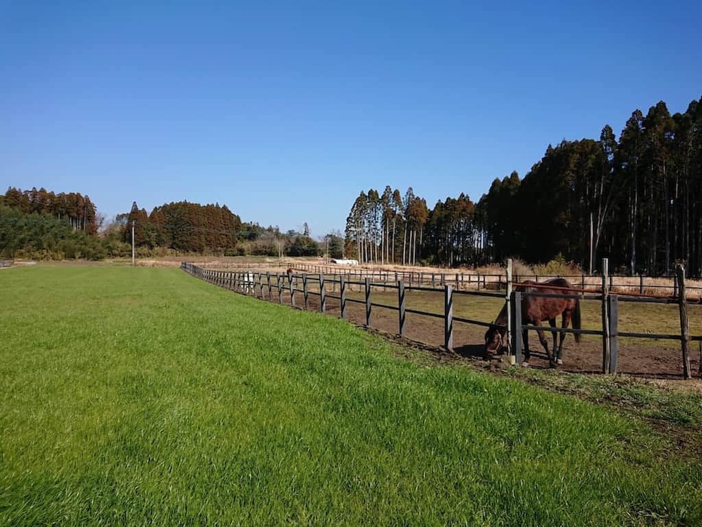 吉野牧場のお馬さん　広大な土地