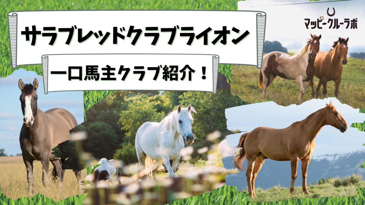 一口馬主クラブ紹介 サラブレッドクラブライオン マッピークルーラボ